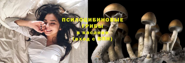 первитин Алексин