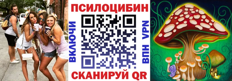 Галлюциногенные грибы прущие грибы  Петропавловск-Камчатский 