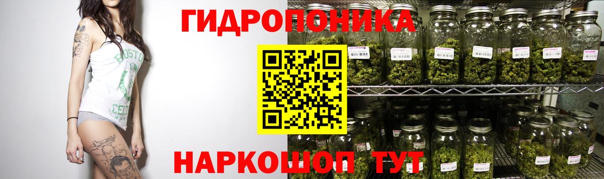 Канабис сатива Петропавловск-Камчатский